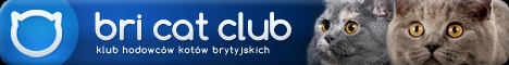 logo BCC klub.jpg